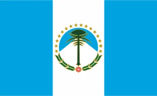 Bandiera: Neuquén