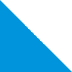 Bandiera: Zurigo